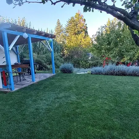 A Bringas 巴拉顿菲赖德