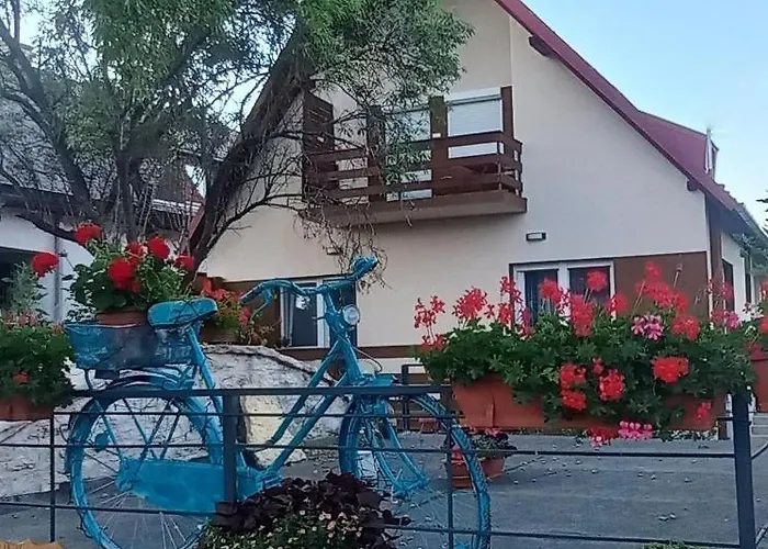Bike & Chill * 巴拉顿菲赖德
